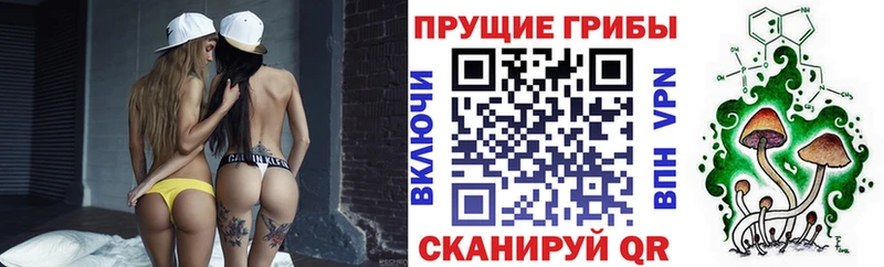 Галлюциногенные грибы Psilocybe  Нарткала 