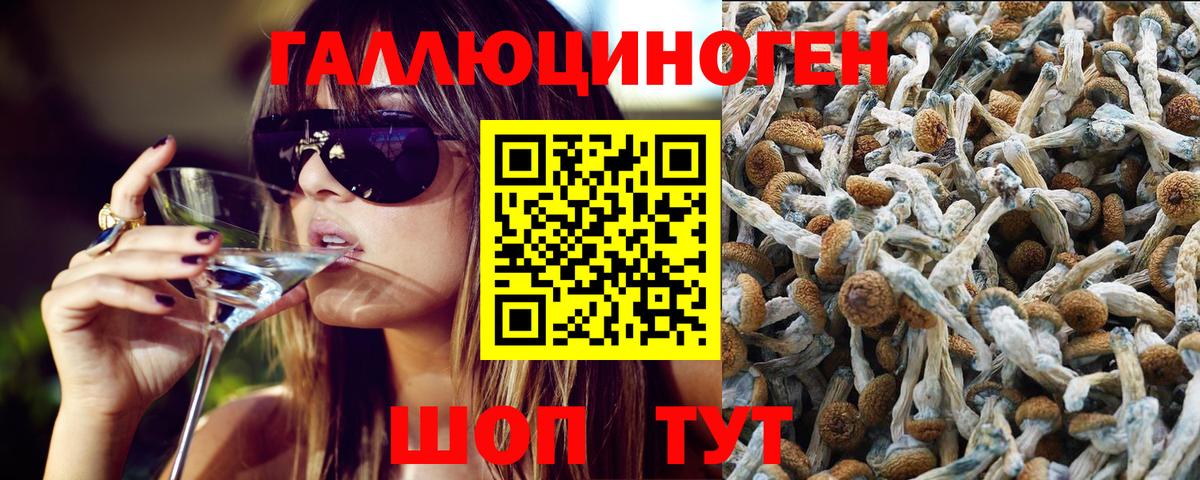 Псилоцибиновые грибы GOLDEN TEACHER Нарткала